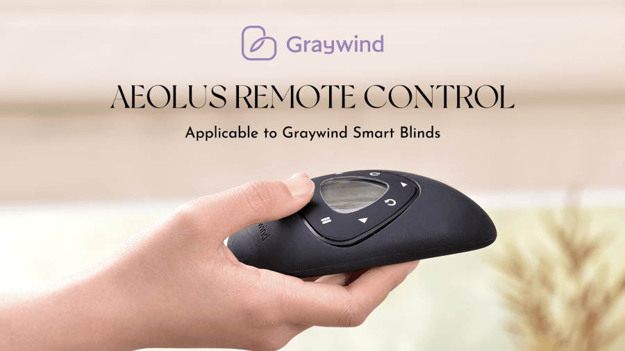 Stylish Aeolus Remote Control for a Perfect Life