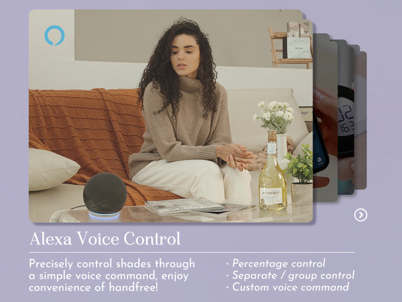 voice control