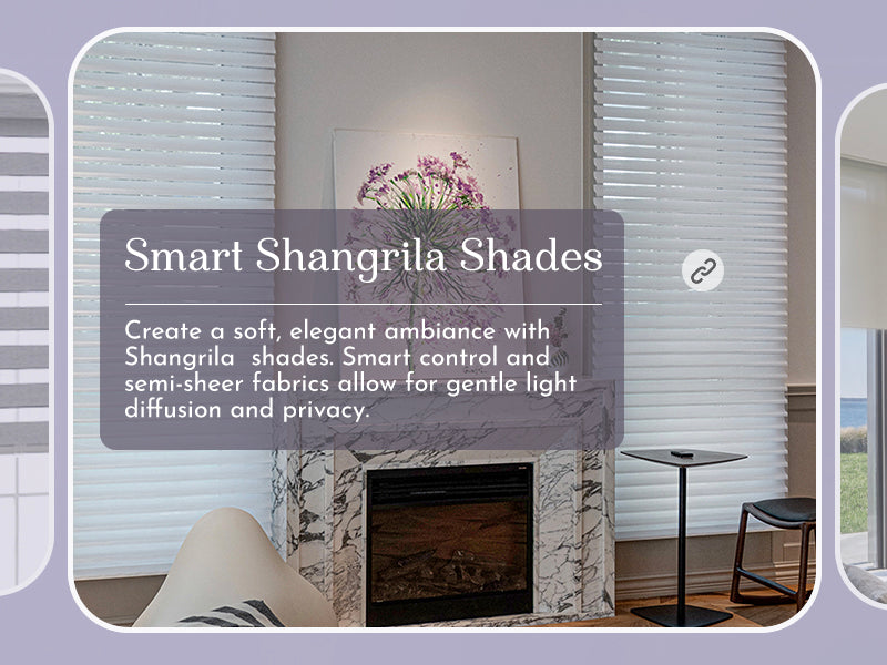 smart shangrila shades