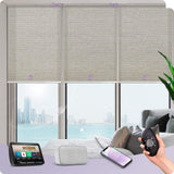 Graywind Motorized Light Filtering Roller Shades | Designed Series | Customizable