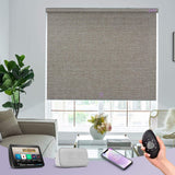 motorized roller shades