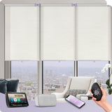 Graywind Motorized Light Filtering Roller Shades | Designed Series | Customizable