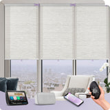 Graywind Motorized Light Filtering Roller Shades | Designed Series | Customizable